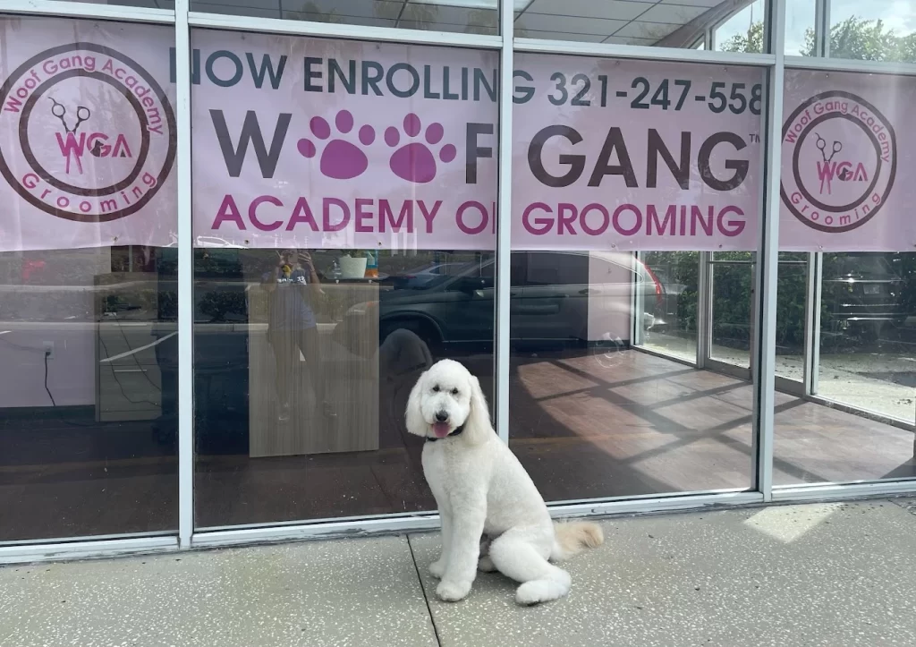 Woof Gang Academy of Grooming